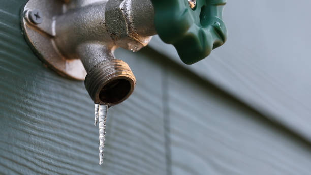Best Local Plumber Services  in Hardinsburg, KY